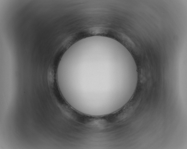 X0000111890210200908061340