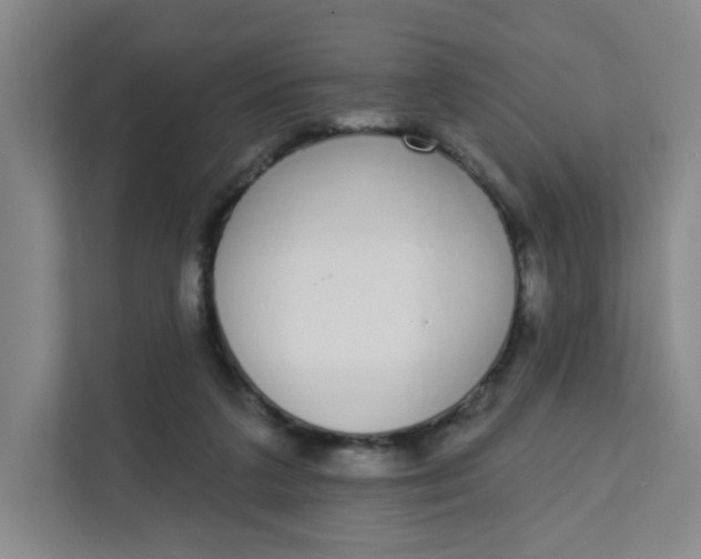 X0000111890211200908061340