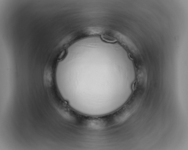 X0000111890215200908061340