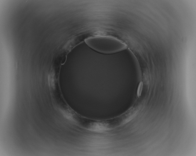 X0000111890223200908061340