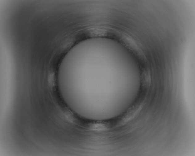 X0000111890224200908061340