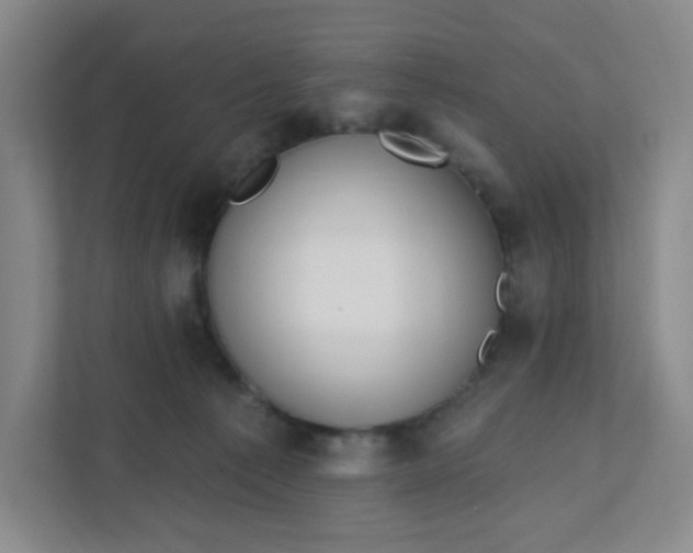 X0000111890225200908061340