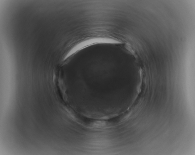 X0000111890227200908061340