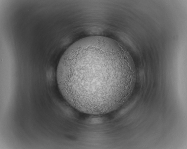 X0000111890228200908061340