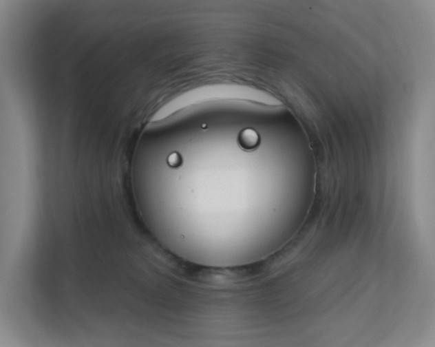 X0000111890229200908061340