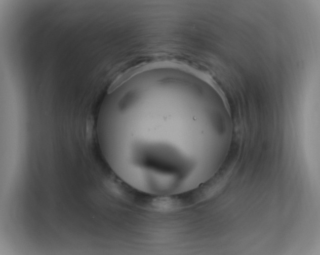 X0000111890231200908061340