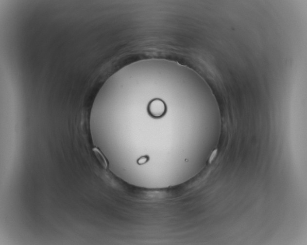 X0000111890233200908061340