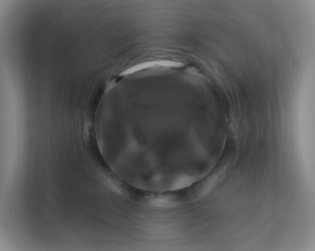 X0000111890235200908061340