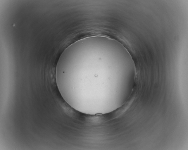 X0000111890237200908061340