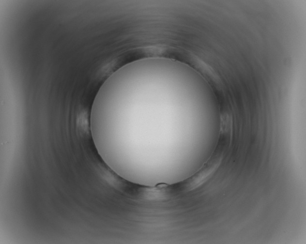 X0000111890238200908061340