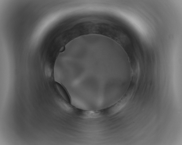 X0000111890239200908061340