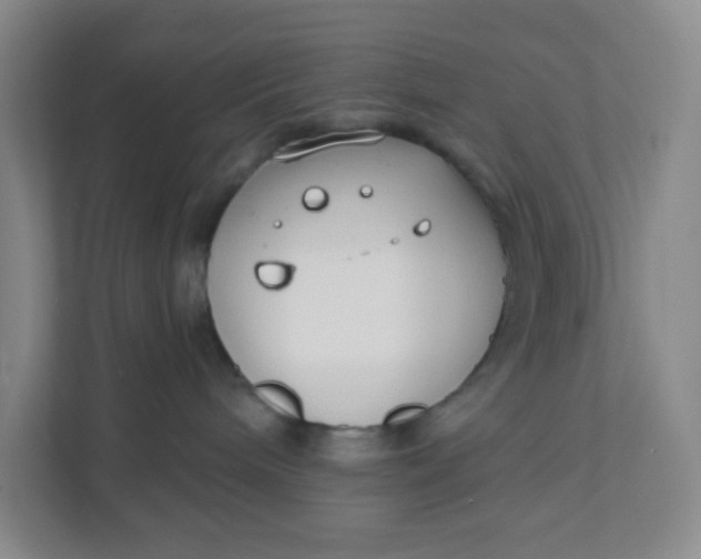 X0000111890240200908061340