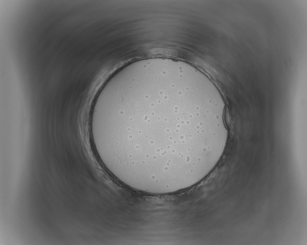 X0000111890241200908061339