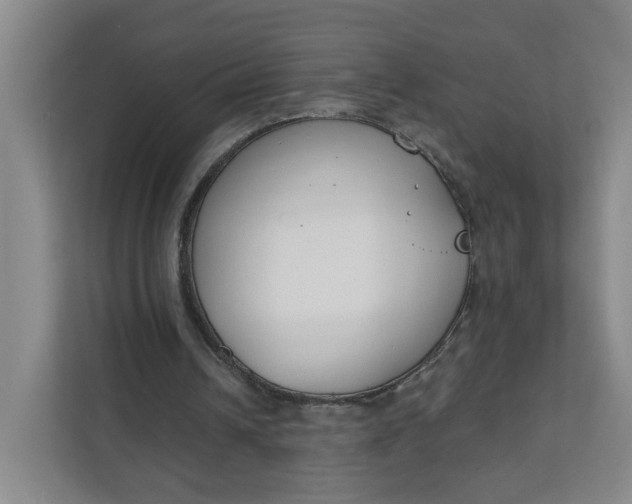 X0000111890242200908061339