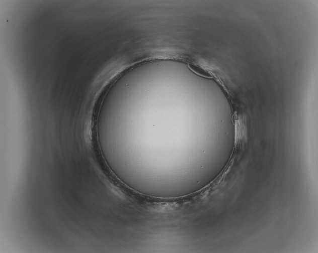 X0000111890243200908061339