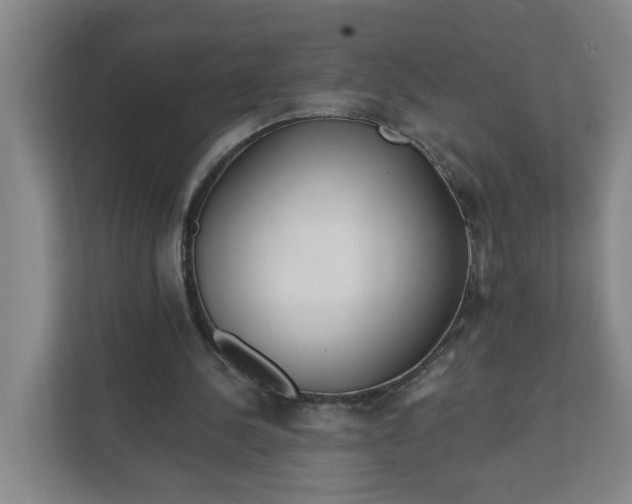 X0000111890244200908061339