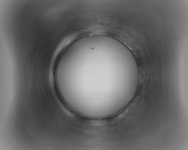 X0000111890245200908061339