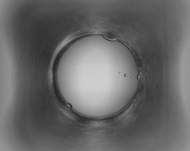 X0000111890246200908061339