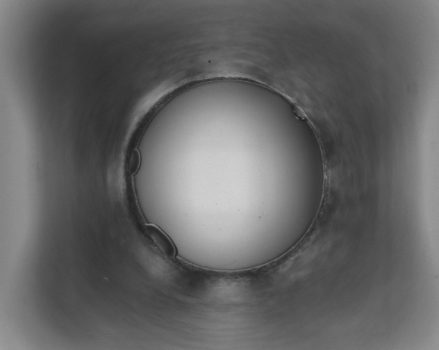 X0000111890248200908061339