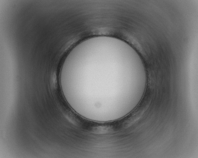 X0000111890251200908061339