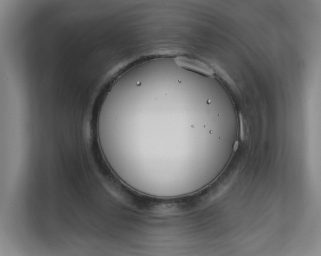 X0000111890252200908061339