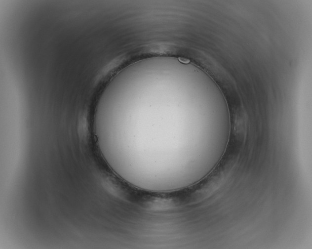 X0000111890256200908061340