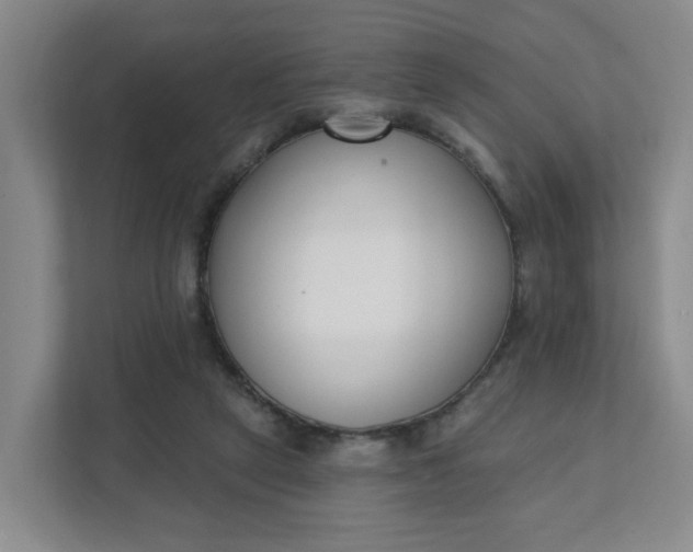 X0000111890257200908061340