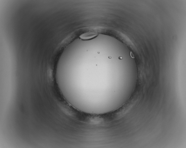 X0000111890258200908061340