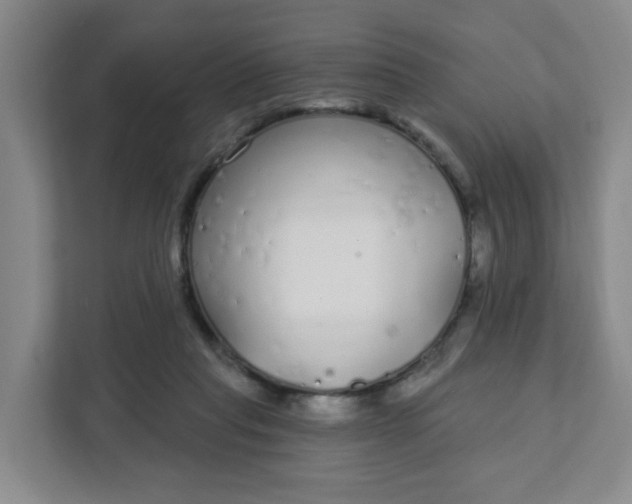 X0000111890261200908061340