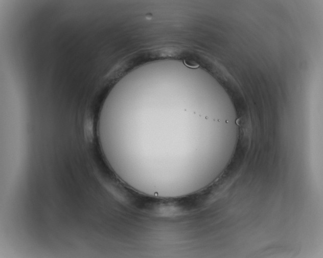 X0000111890262200908061340