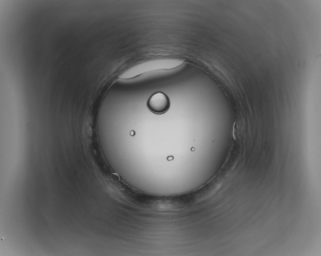 X0000111890264200908061340