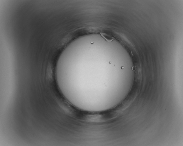 X0000111890266200908061340