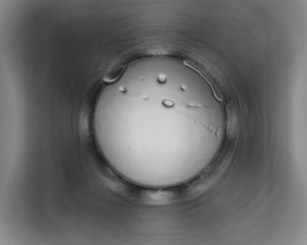 X0000111890268200908061340