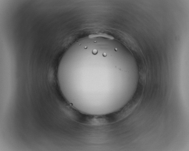 X0000111890270200908061340