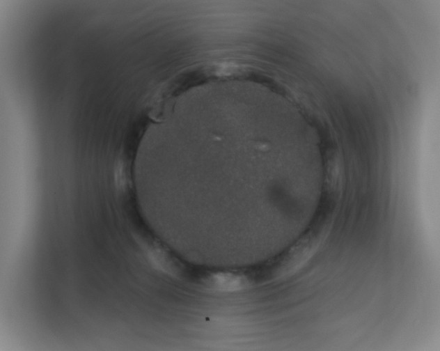 X0000111890272200908061340