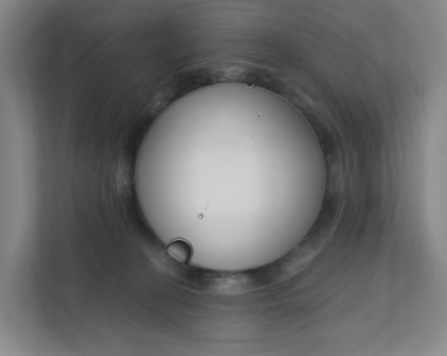 X0000111890274200908061340