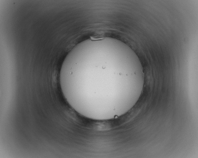 X0000111890275200908061340