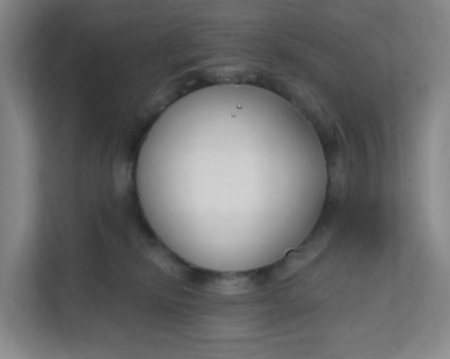 X0000111890278200908061340