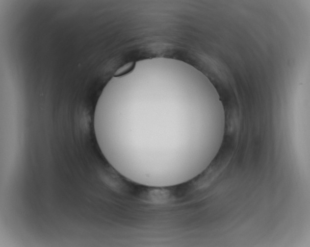 X0000111890279200908061340