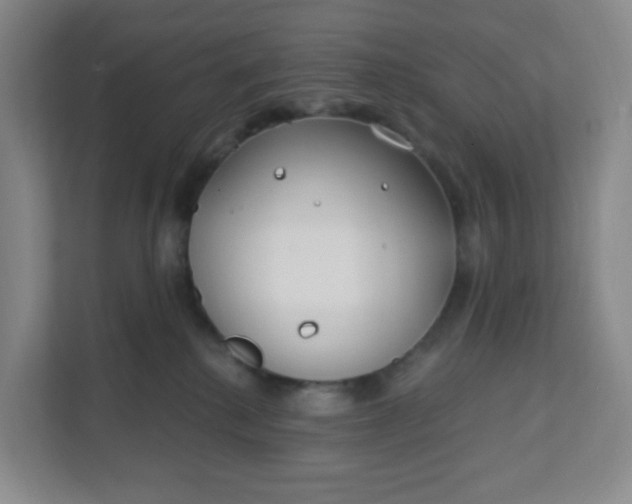 X0000111890280200908061340