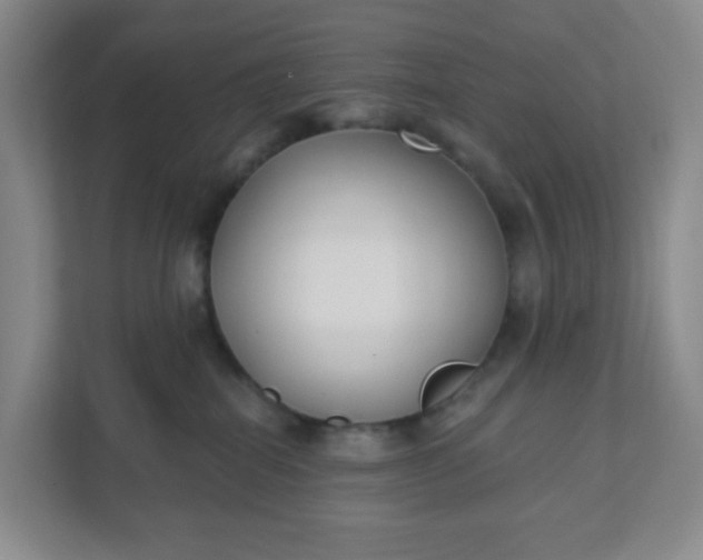 X0000111890282200908061340