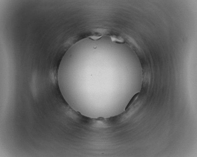 X0000111890285200908061340