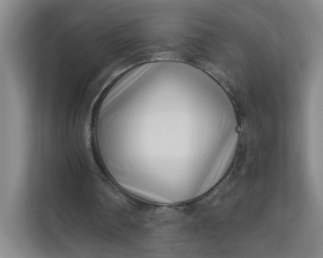 X0000111890290200908061339