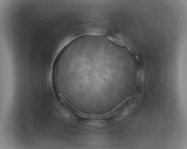 X0000111890292200908061339