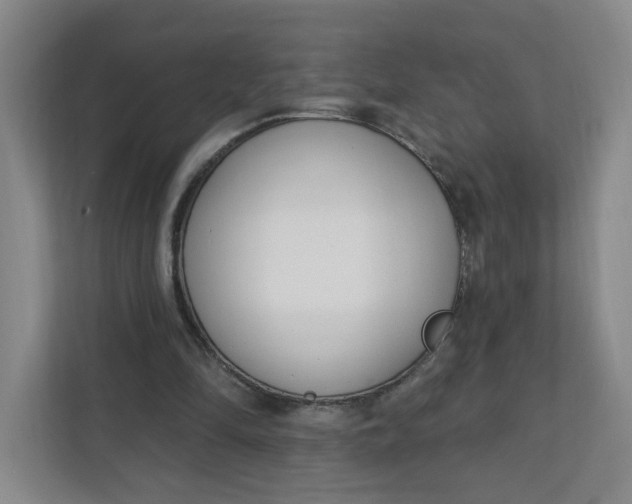 X0000111890294200908061339