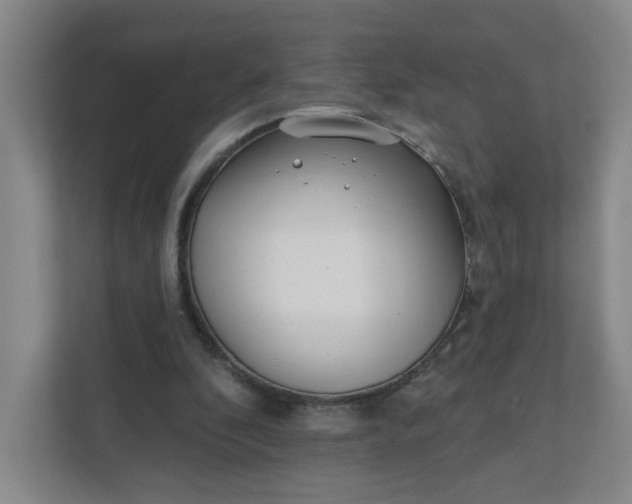 X0000111890296200908061339