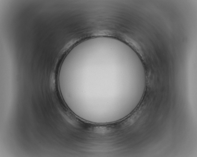 X0000111890298200908061339