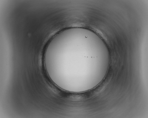 X0000111890299200908061339