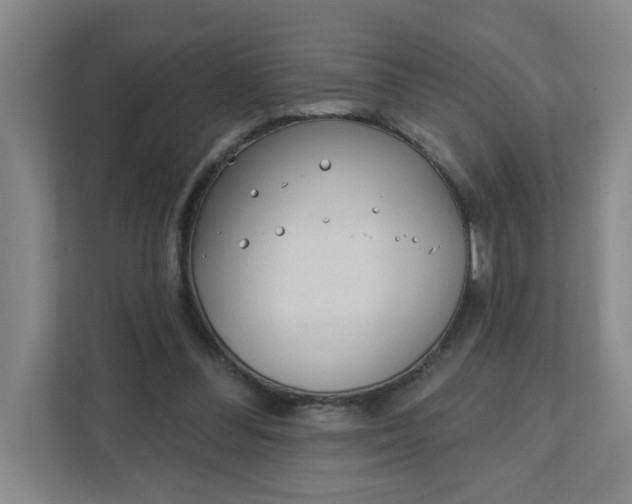 X0000111890300200908061339