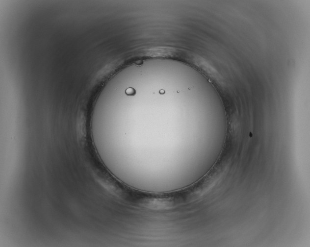 X0000111890303200908061339